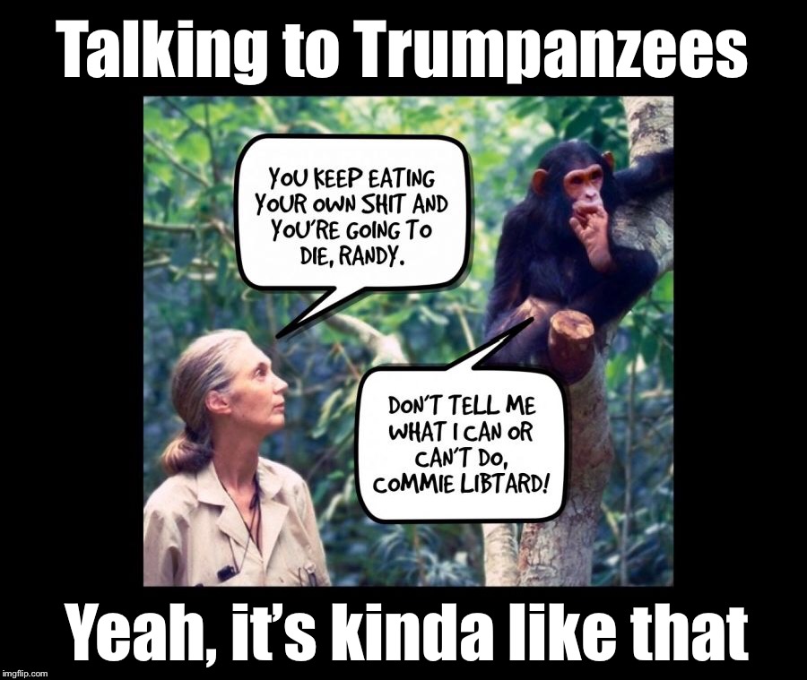 Talking to Trumpanzees  | Talking to Trumpanzees; Yeah, it’s kinda like that | image tagged in donald trump,trump supporters,stupidity | made w/ Imgflip meme maker