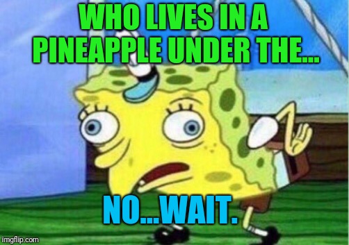 Mocking Spongebob Meme | WHO LIVES IN A PINEAPPLE UNDER THE... NO...WAIT. | image tagged in memes,mocking spongebob | made w/ Imgflip meme maker