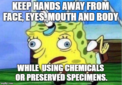 Mocking Spongebob | KEEP HANDS AWAY FROM FACE, EYES, MOUTH AND BODY; WHILE  USING CHEMICALS OR PRESERVED SPECIMENS. | image tagged in memes,mocking spongebob | made w/ Imgflip meme maker