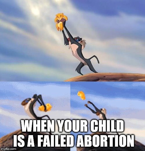 LION KINGS BE ABORTION | WHEN YOUR CHILD IS A FAILED ABORTION | image tagged in simba rafiki lion king | made w/ Imgflip meme maker
