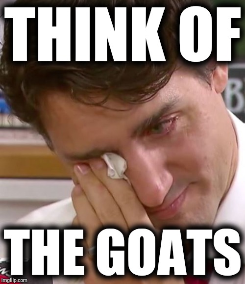 Justin Trudeau Crying | THINK OF THE GOATS | image tagged in justin trudeau crying | made w/ Imgflip meme maker