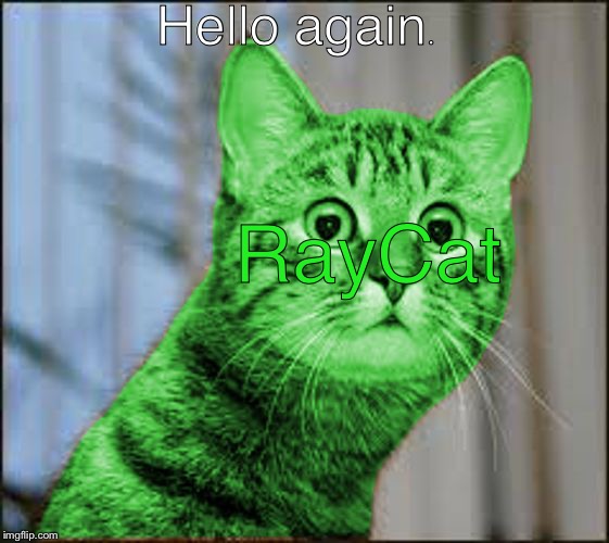 RayCat WTF | Hello again. RayCat | image tagged in raycat wtf | made w/ Imgflip meme maker