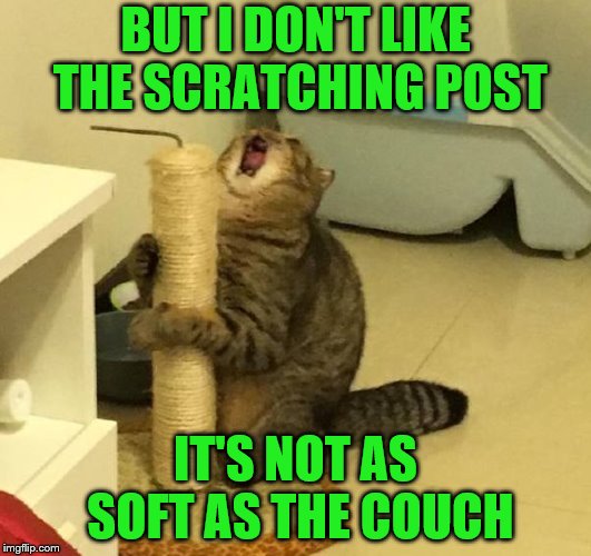Bad Kitty | BUT I DON'T LIKE THE SCRATCHING POST; IT'S NOT AS SOFT AS THE COUCH | image tagged in memes,cats,scratching post | made w/ Imgflip meme maker