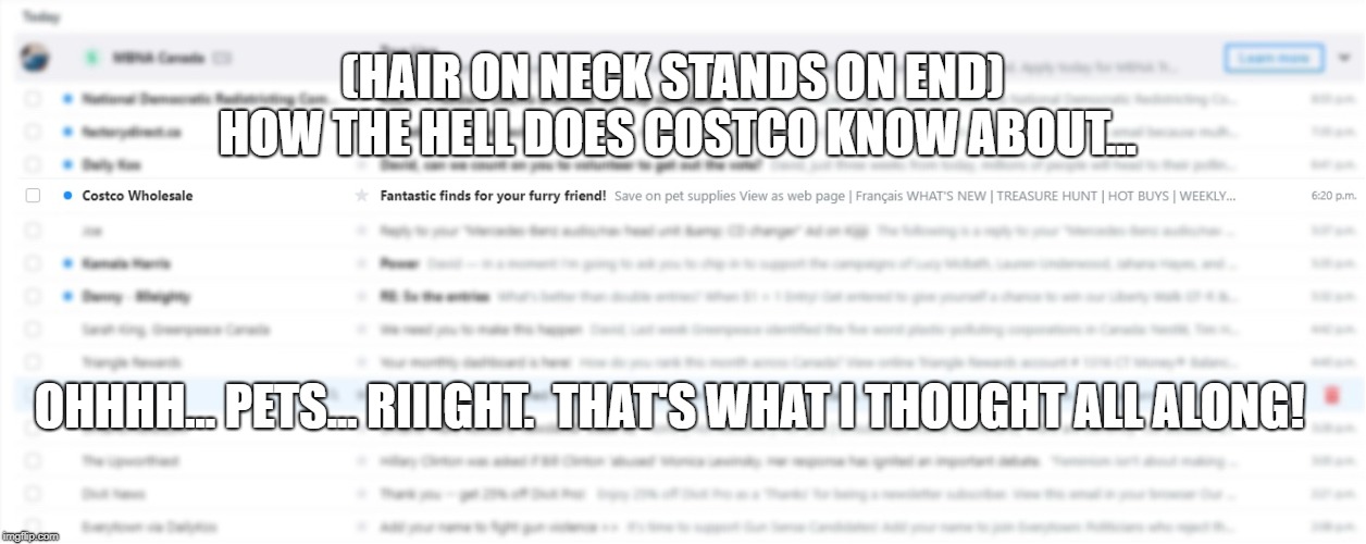 How does Costco know about my friends who are furries?!? | (HAIR ON NECK STANDS ON END) HOW THE HELL DOES COSTCO KNOW ABOUT... OHHHH... PETS... RIIIGHT.  THAT'S WHAT I THOUGHT ALL ALONG! | image tagged in furry,costco,furries,wholesale | made w/ Imgflip meme maker