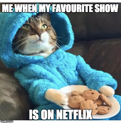 ME WHEN MY FAVOURITE SHOW; IS ON NETFLIX | image tagged in cats | made w/ Imgflip meme maker