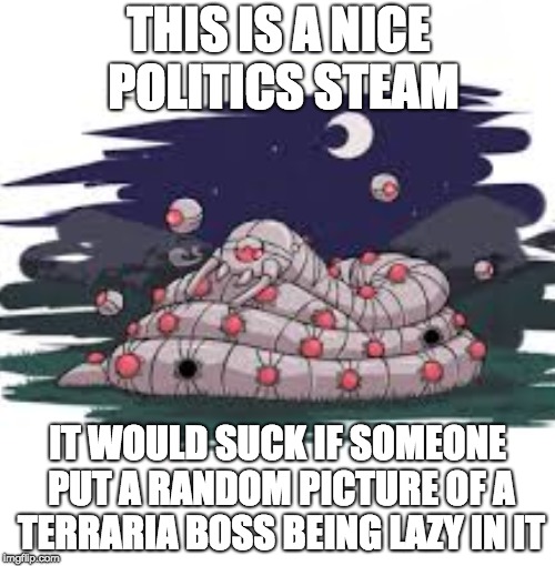 THIS IS A NICE POLITICS STEAM; IT WOULD SUCK IF SOMEONE PUT A RANDOM PICTURE OF A TERRARIA BOSS BEING LAZY IN IT | image tagged in gaming,troll | made w/ Imgflip meme maker