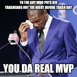 you da real mvp | TO THE GUY WHO PUTS HIS TRASHCANS OUT THE NIGHT BEFORE TRASH DAY. YOU DA REAL MVP | image tagged in you da real mvp,AdviceAnimals | made w/ Imgflip meme maker