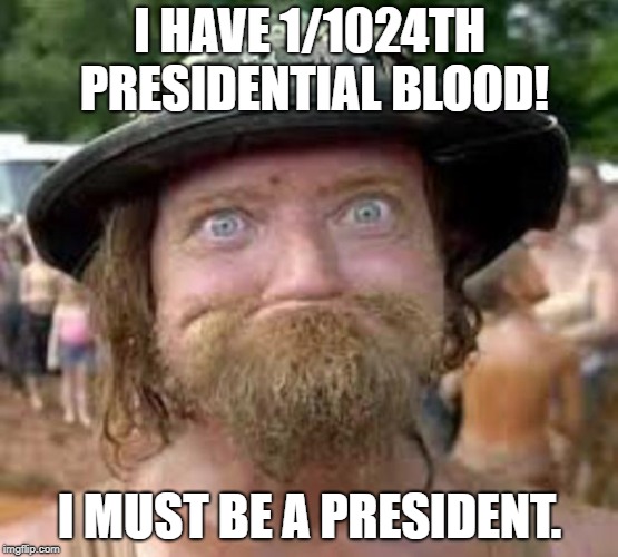 Hillbilly | I HAVE 1/1024TH PRESIDENTIAL BLOOD! I MUST BE A PRESIDENT. | image tagged in hillbilly | made w/ Imgflip meme maker