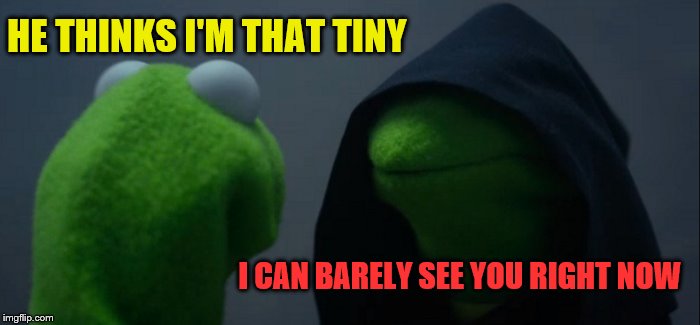 Evil Kermit Meme | HE THINKS I'M THAT TINY I CAN BARELY SEE YOU RIGHT NOW | image tagged in memes,evil kermit | made w/ Imgflip meme maker