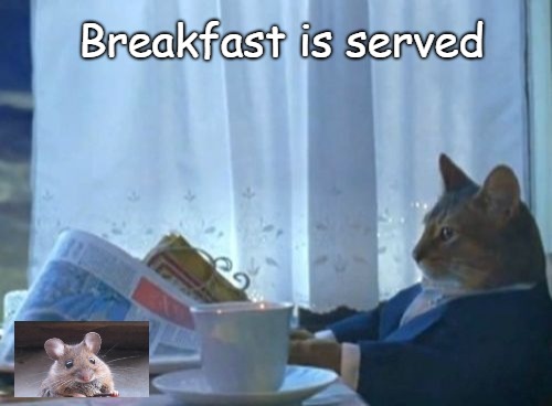 Breakfast Is Served Fresh Mouse | Breakfast is served | image tagged in memes,cats,animals,cat,animal,mouse | made w/ Imgflip meme maker