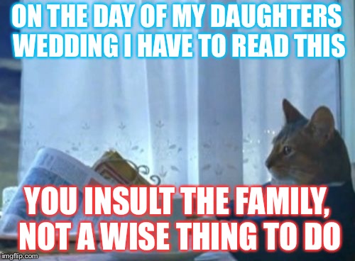 I Should Buy A Boat Cat | ON THE DAY OF MY DAUGHTERS WEDDING I HAVE TO READ THIS; YOU INSULT THE FAMILY, NOT A WISE THING TO DO | image tagged in memes,i should buy a boat cat | made w/ Imgflip meme maker