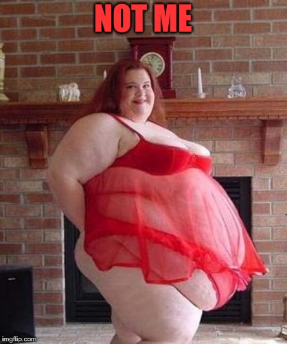 Obese Woman | NOT ME | image tagged in obese woman | made w/ Imgflip meme maker
