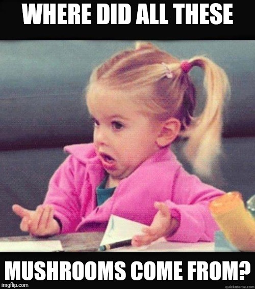 I don't know girl | WHERE DID ALL THESE; MUSHROOMS COME FROM? | image tagged in i don't know girl | made w/ Imgflip meme maker