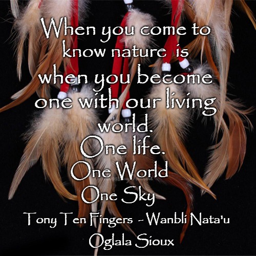 Tony Ten Fingers Wanbli Nata'u  Oglala Sioux | When you come to; know nature  is; when you become; one with our living; world. One life. One World; One Sky; Tony Ten Fingers  - Wanbli Nata'u; Oglala Sioux | image tagged in native american,native americans,indians,indian chief,american indian,tribe | made w/ Imgflip meme maker