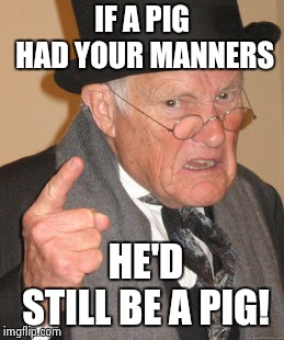 Back In My Day Meme | IF A PIG HAD YOUR MANNERS HE'D STILL BE A PIG! | image tagged in memes,back in my day | made w/ Imgflip meme maker