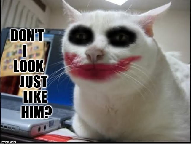 The Joker For Halloween | DON'T   I        LOOK       JUST      LIKE       HIM? | image tagged in memes,cat,the joker,look,like,halloween | made w/ Imgflip meme maker