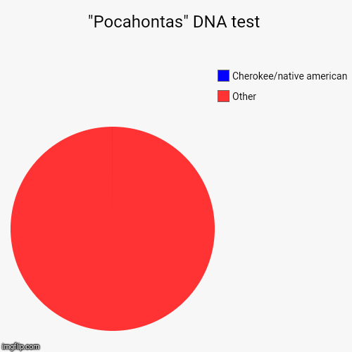 "Pocahontas" DNA test | Other, Cherokee/native american | image tagged in funny,pie charts | made w/ Imgflip chart maker