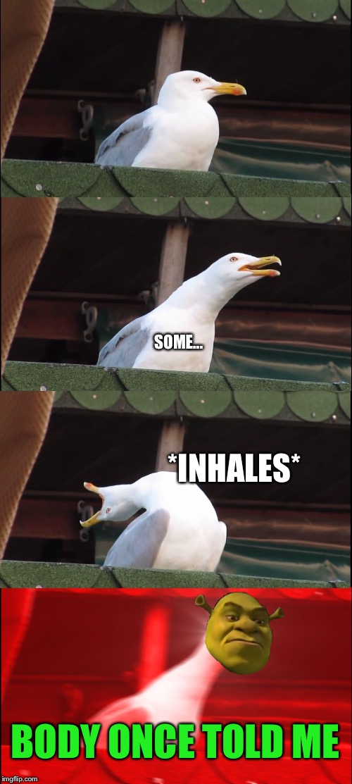 Inhaling Seagull | SOME... *INHALES*; BODY ONCE TOLD ME | image tagged in memes,inhaling seagull,shrek,all star | made w/ Imgflip meme maker