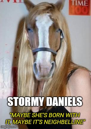 Horseface Stormy Daniels | STORMY DANIELS; "MAYBE SHE'S BORN WITH IT, MAYBE IT'S NEIGHBELLINE" | image tagged in horseface stormy daniels | made w/ Imgflip meme maker
