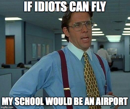 That Would Be Great Meme | IF IDIOTS CAN FLY; MY SCHOOL WOULD BE AN AIRPORT | image tagged in memes,that would be great | made w/ Imgflip meme maker