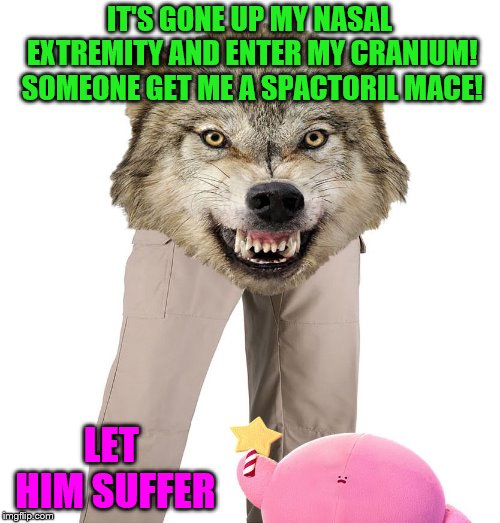 Wolfpants the Great | IT'S GONE UP MY NASAL EXTREMITY AND ENTER MY CRANIUM! SOMEONE GET ME A SPACTORIL MACE! LET HIM SUFFER | image tagged in wolfpants the great | made w/ Imgflip meme maker