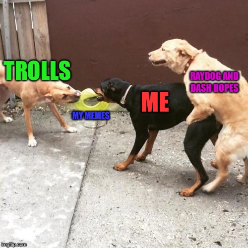 This Is My Life | TROLLS; RAYDOG AND DASH HOPES; ME; MY MEMES | image tagged in this is my life | made w/ Imgflip meme maker