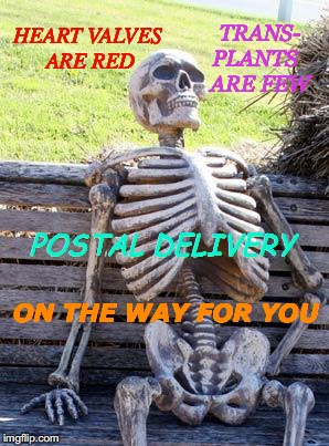 Halloween Heart Surgery | HEART VALVES    ARE RED; TRANS- PLANTS   ARE FEW; POSTAL DELIVERY; ON THE WAY FOR YOU | image tagged in memes,waiting skeleton | made w/ Imgflip meme maker