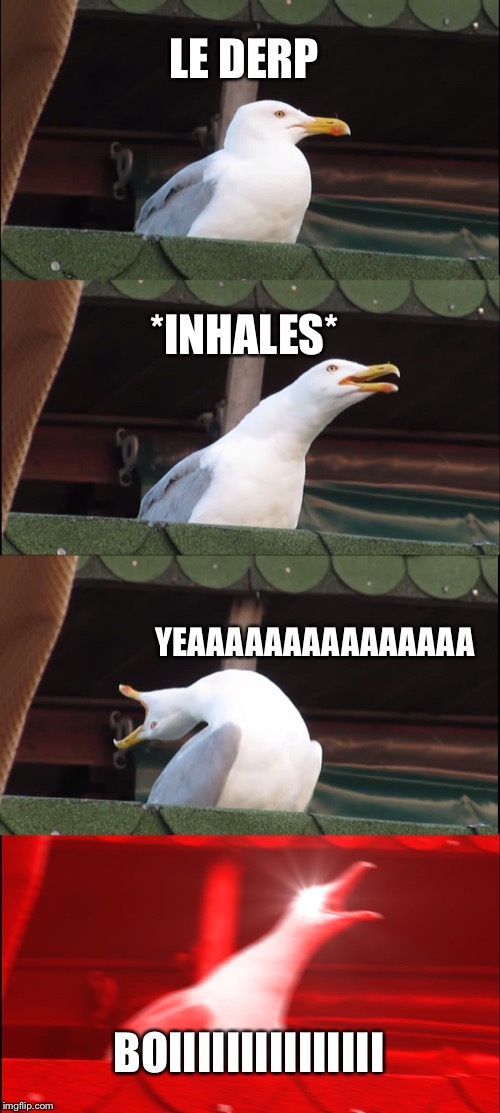Inhaling Seagull Meme | LE DERP; *INHALES*; YEAAAAAAAAAAAAAAA; BOIIIIIIIIIIIIIII | image tagged in memes,inhaling seagull | made w/ Imgflip meme maker