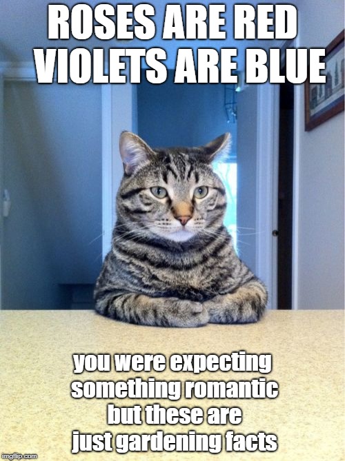 Take A Seat Cat Meme | ROSES ARE RED 
VIOLETS ARE BLUE; you were expecting something
romantic but these are just
gardening facts | image tagged in memes,take a seat cat | made w/ Imgflip meme maker