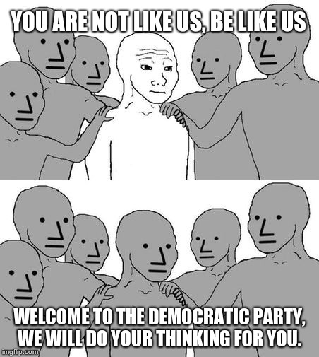 NPC Wojak 2 | YOU ARE NOT LIKE US, BE LIKE US; WELCOME TO THE DEMOCRATIC PARTY, WE WILL DO YOUR THINKING FOR YOU. | image tagged in npc wojak 2 | made w/ Imgflip meme maker