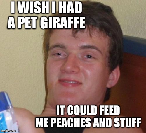 And it could like, see for miles and stuff | I WISH I HAD A PET GIRAFFE; IT COULD FEED ME PEACHES AND STUFF | image tagged in memes,10 guy,high,giraffe | made w/ Imgflip meme maker