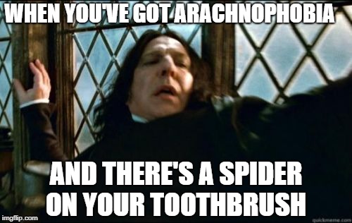 Snape Meme | WHEN YOU'VE GOT ARACHNOPHOBIA; AND THERE'S A SPIDER ON YOUR TOOTHBRUSH | image tagged in memes,snape,funny memes,spiders | made w/ Imgflip meme maker