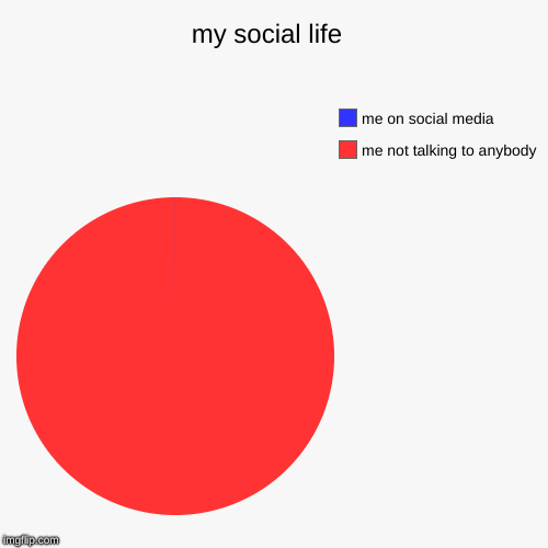 my social life  | me not talking to anybody , me on social media | image tagged in funny,pie charts | made w/ Imgflip chart maker