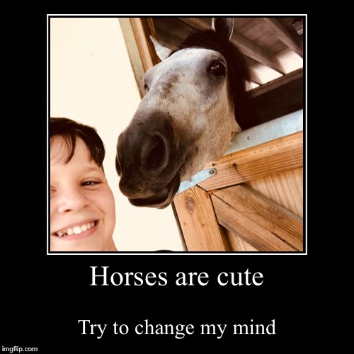 Horses are cute | Try to change my mind | image tagged in funny,demotivationals | made w/ Imgflip demotivational maker