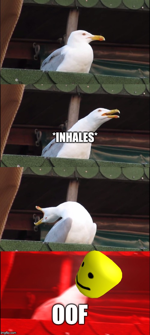Inhaling Seagull Meme | *INHALES*; OOF | image tagged in memes,inhaling seagull,roblox | made w/ Imgflip meme maker