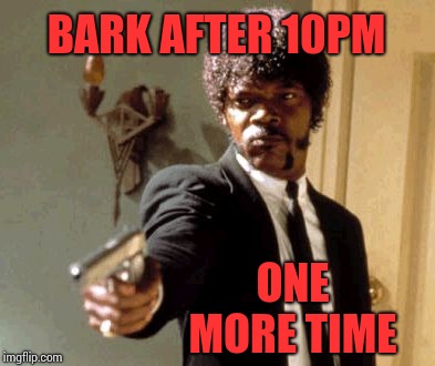 Say That Again I Dare You Meme | BARK AFTER 10PM; ONE MORE TIME | image tagged in memes,say that again i dare you | made w/ Imgflip meme maker
