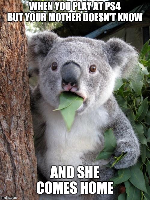 Surprised Koala | WHEN YOU PLAY AT PS4 BUT YOUR MOTHER DOESN'T KNOW; AND SHE COMES HOME | image tagged in memes,surprised koala | made w/ Imgflip meme maker