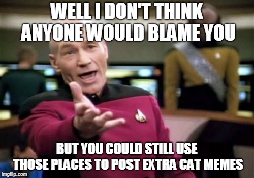 Picard Wtf Meme | WELL I DON'T THINK ANYONE WOULD BLAME YOU BUT YOU COULD STILL USE THOSE PLACES TO POST EXTRA CAT MEMES | image tagged in memes,picard wtf | made w/ Imgflip meme maker