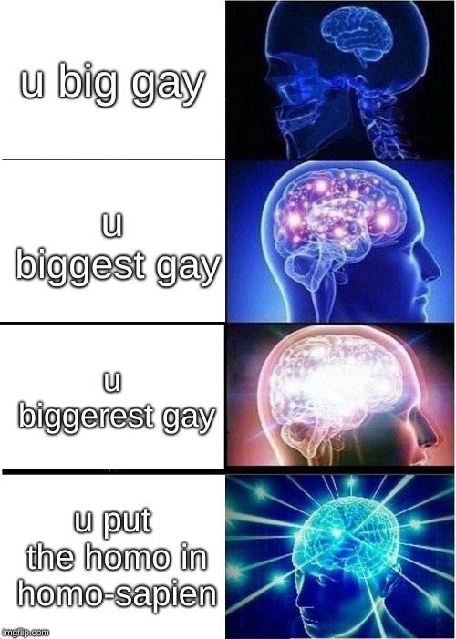 how to big gay - big edition (buy now 20 dollar) | u big gay; u biggest gay; u biggerest gay; u put the homo in homo-sapien | image tagged in memes,expanding brain | made w/ Imgflip meme maker