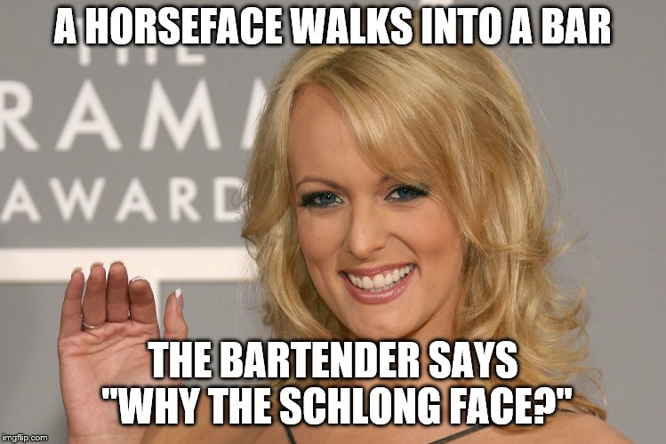 Stormy Daniels | A HORSEFACE WALKS INTO A BAR; THE BARTENDER SAYS "WHY THE SCHLONG FACE?" | image tagged in stormy daniels | made w/ Imgflip meme maker