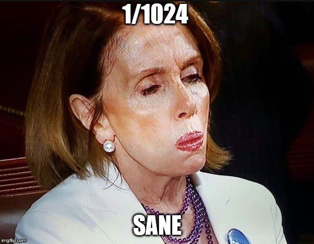 Nancy Pelosi PB Sandwich | 1/1024; SANE | image tagged in nancy pelosi pb sandwich | made w/ Imgflip meme maker