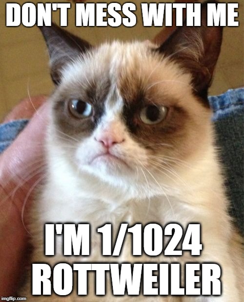 Grumpy Cat | DON'T MESS WITH ME; I'M 1/1024 ROTTWEILER | image tagged in memes,grumpy cat | made w/ Imgflip meme maker