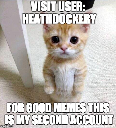 Cute Cat | VISIT USER: HEATHDOCKERY; FOR GOOD MEMES THIS IS MY SECOND ACCOUNT | image tagged in memes,cute cat | made w/ Imgflip meme maker