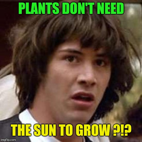 Conspiracy Keanu Meme | PLANTS DON'T NEED THE SUN TO GROW ?!? | image tagged in memes,conspiracy keanu | made w/ Imgflip meme maker