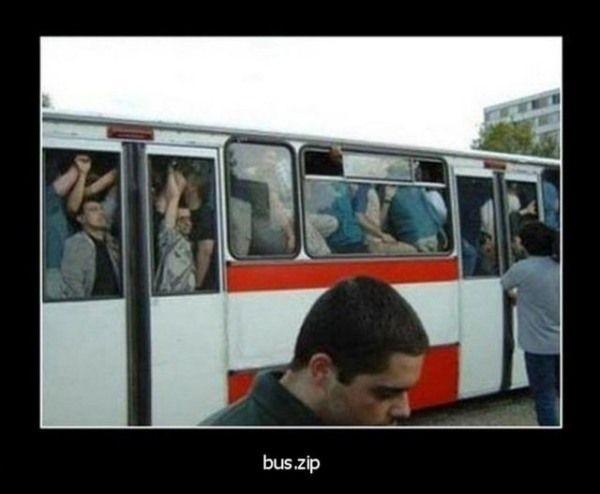Bus.zip | image tagged in demotivationals