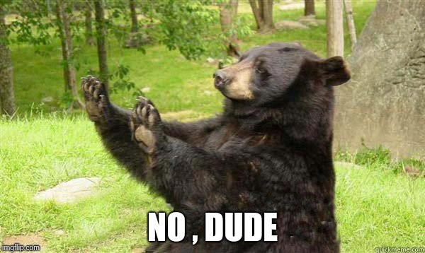 How about no bear | NO , DUDE | image tagged in how about no bear | made w/ Imgflip meme maker