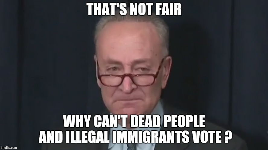 Chuck Schumer Crying | THAT'S NOT FAIR WHY CAN'T DEAD PEOPLE AND ILLEGAL IMMIGRANTS VOTE ? | image tagged in chuck schumer crying | made w/ Imgflip meme maker