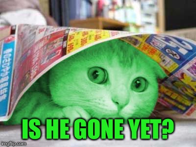 RayCat Scared | IS HE GONE YET? | image tagged in raycat scared | made w/ Imgflip meme maker