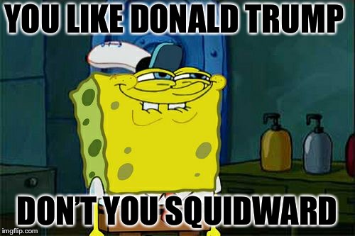 Don't You Squidward Meme | YOU LIKE DONALD TRUMP; DON’T YOU SQUIDWARD | image tagged in memes,dont you squidward | made w/ Imgflip meme maker