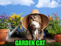 GARDEN CAT | made w/ Imgflip meme maker